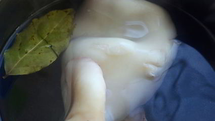 салат из кальмаров и запеченного сельдерея