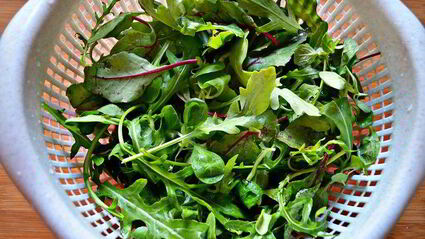 зеленый салат с апельсином с пикантной заправкой