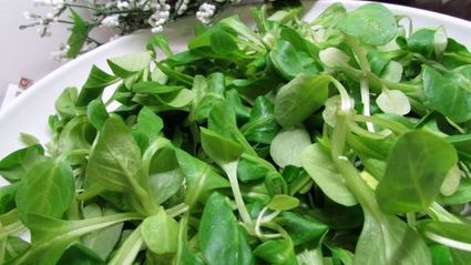 зеленый салат с авокадо