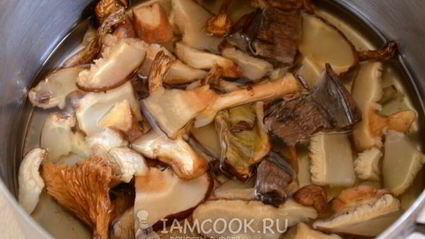 грибной соус из сушеных грибов