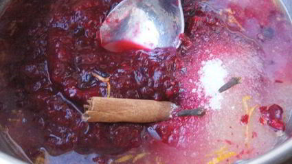 клюквенно-апельсиновый соус к птице