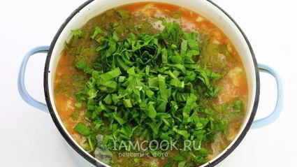 борщ из свежей капусты