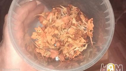 осенний желтый борщ