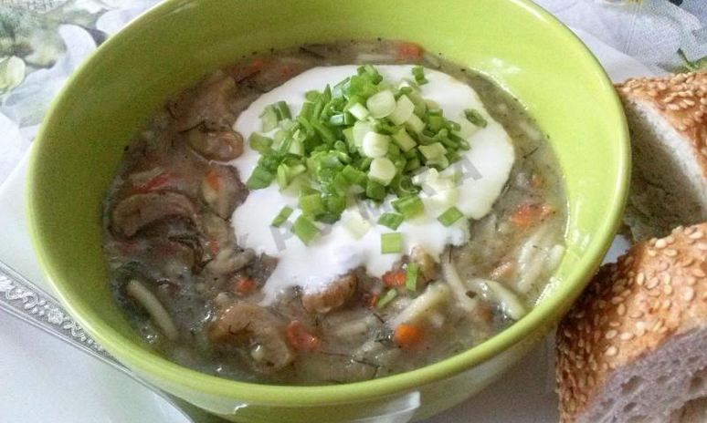 Рецепт грибного супа из подосиновиков