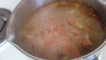 грибной суп из подосиновиков