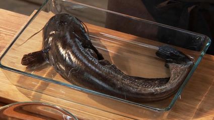 мохинга — бирманский рыбный суп с лапшой