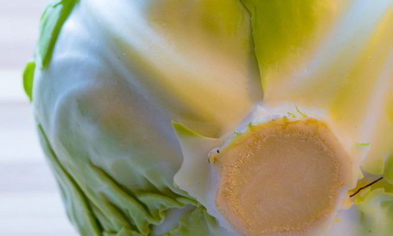 Рецепт солянки из капусты