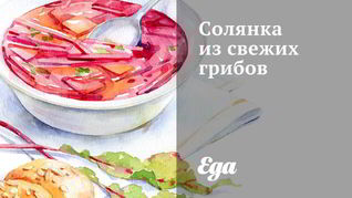 Солянка из свежих грибов