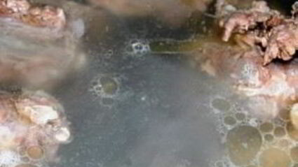 суп из телячьего хвоста