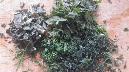 суп-пюре с чечевицей