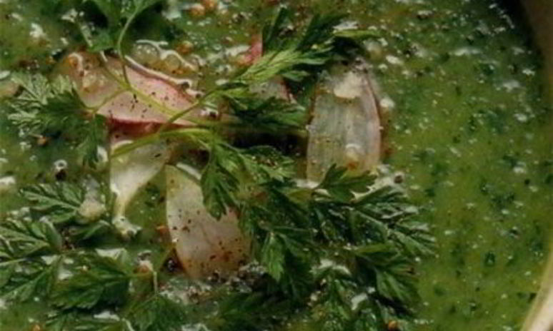 Рецепт зеленого супа-пюре