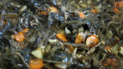 суп с кальмарами и морской капустой