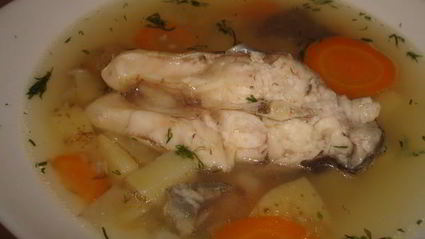 уха из карпа