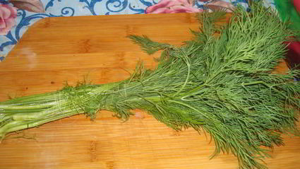 уха из карпа