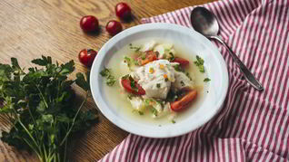 Уха из судака