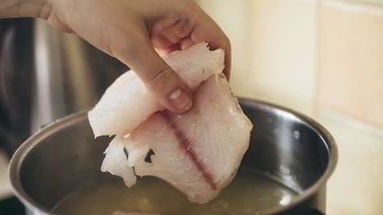 уха из судака