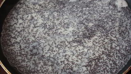 маковые блинчики