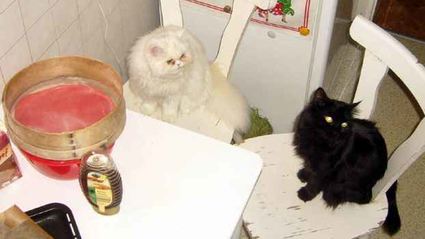 хлеб на минеральной воде