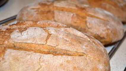 хлеб на темном пиве с анисом