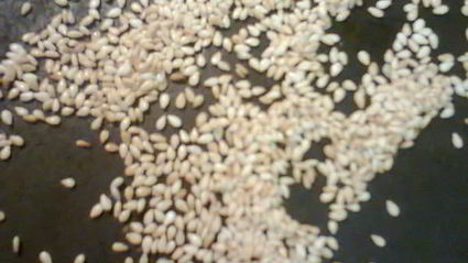 хлебные палочки с кунжутом