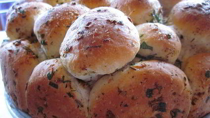 обезьяний хлеб