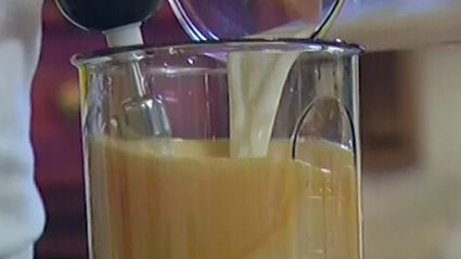 хворост-гнезда