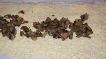 лаваш с шампиньонами