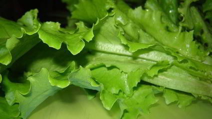 лаваш со свежими овощами