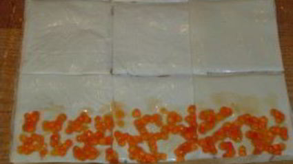 рулеты из лаваша с икрой