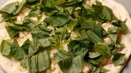 фокачча с сыром и базиликом