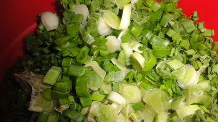 луковая лепешка