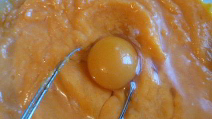 тыквенные лепешки