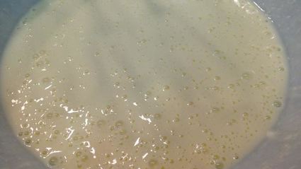 оладьи яблочно-кабачковые с творогом