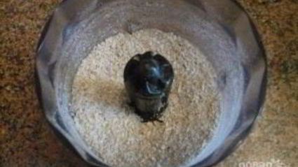 постное морковно-овсяное печенье