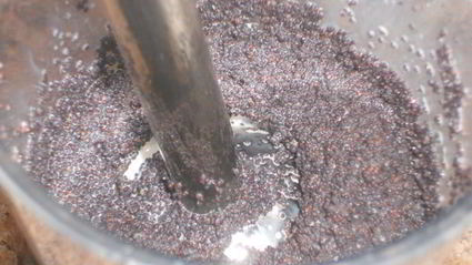 маковый пирог с маскарпоне