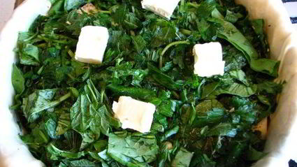 пирог со щавелем и крапивой