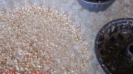 пирог творожно-ягодный на бисквитном тесте