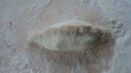 пирожки с квашеной капустой жареные