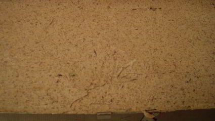 пирожное осенняя симфония