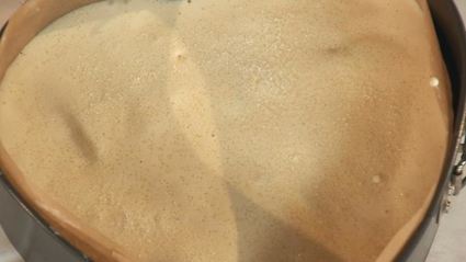 шарлотка неправильная