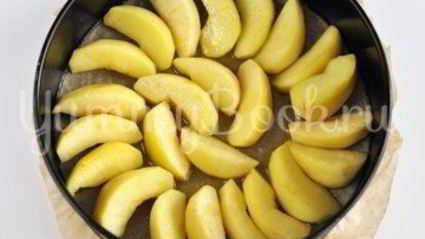 шарлотка перевертыш