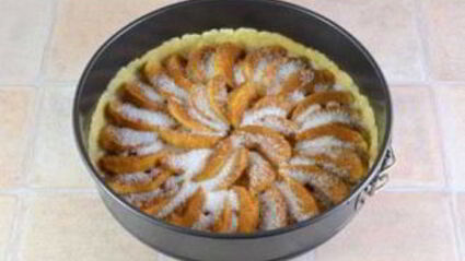 шарлотка с яблоками открытая