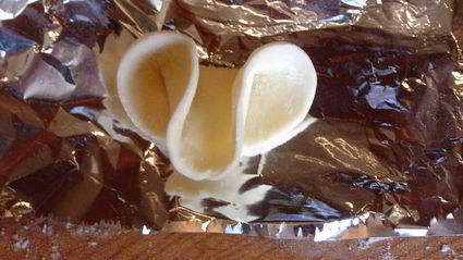 слойки волк