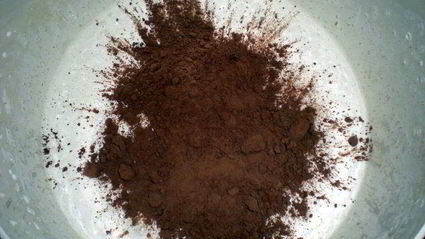 рулетоторт с шоколадным муссом