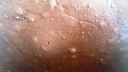 торт сугроб