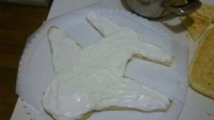 торт в виде самолета