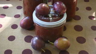 Аджика из слив