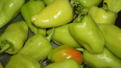 фаршированные болгарские перцы на зиму