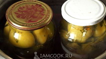 фаршированные зеленые помидоры на зиму по-грузински