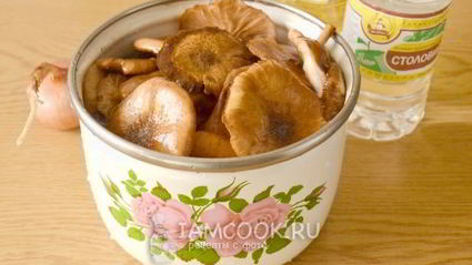 икра из опят на зиму